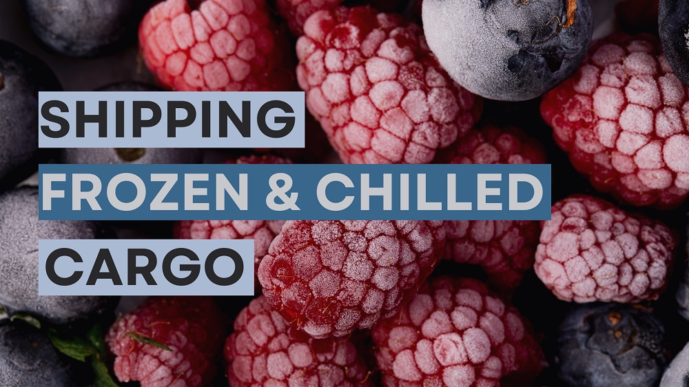 Things you need to know before shipping refrigerated cargoes in the UAE 
