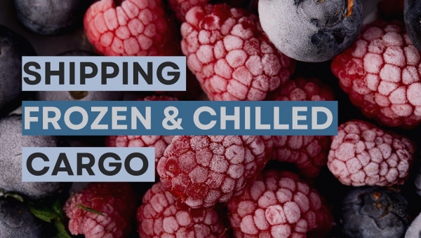Things you need to know before shipping refrigerated cargoes in the UAE 